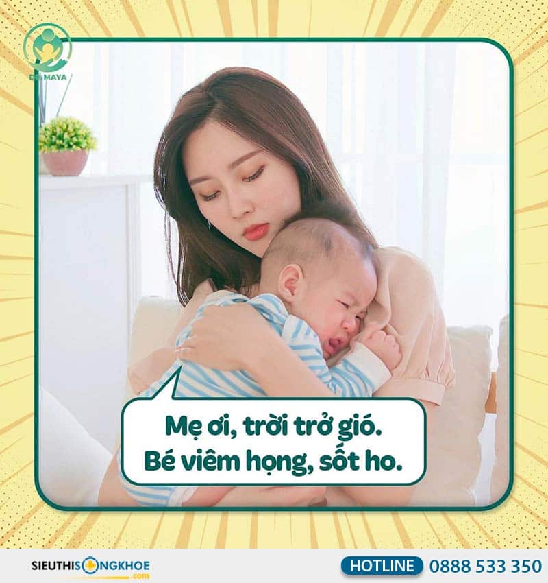 dầu húng chanh lên men minion gold
