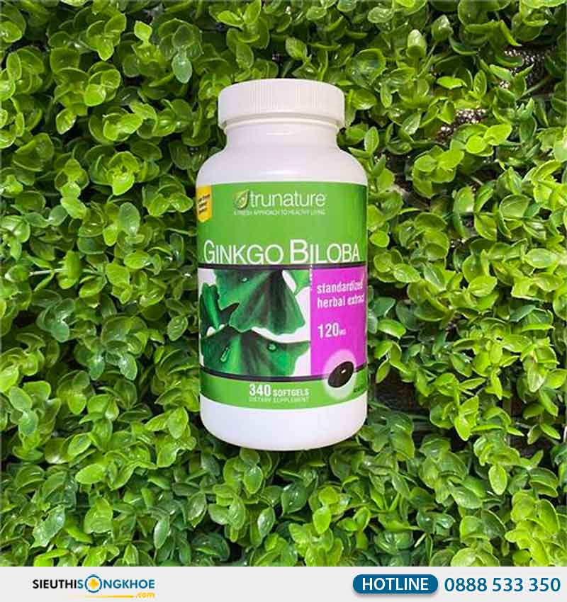 ginkgo biloba có tác dụng gì