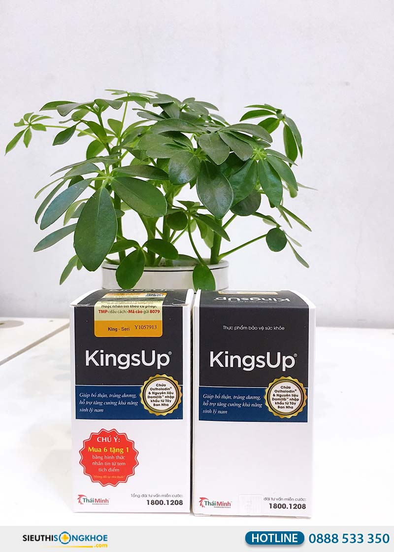 kingsup có tốt không
