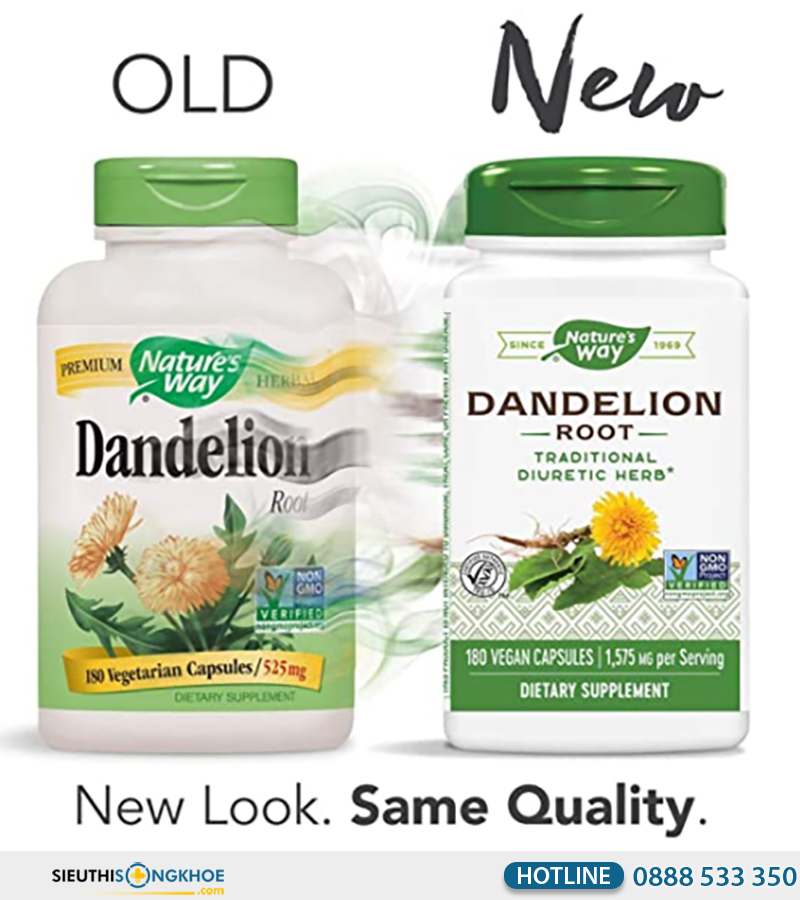 nature's way dandelion root