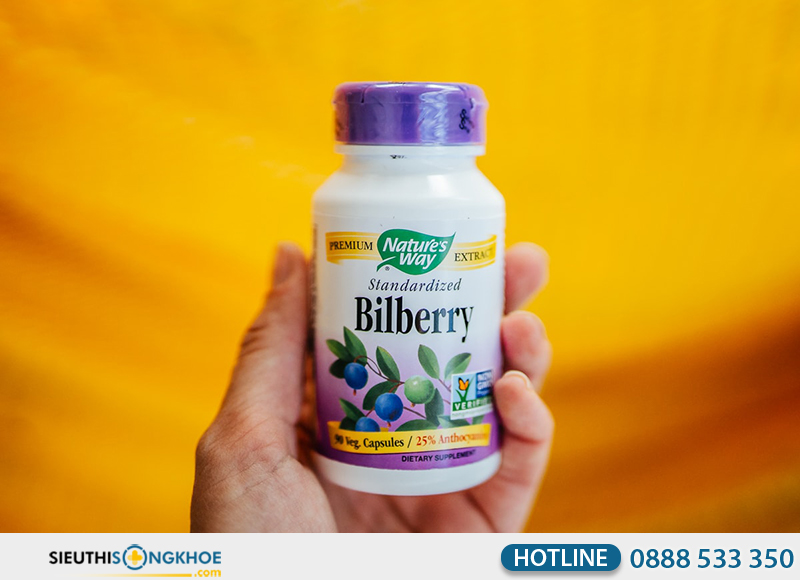 nature's way standardized bilberry