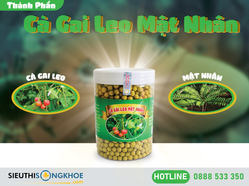 thành phần của cà gai leo mật nhân