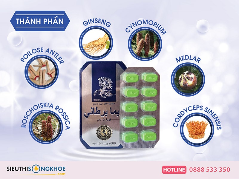 thành phần của cường dương ngựa thái
