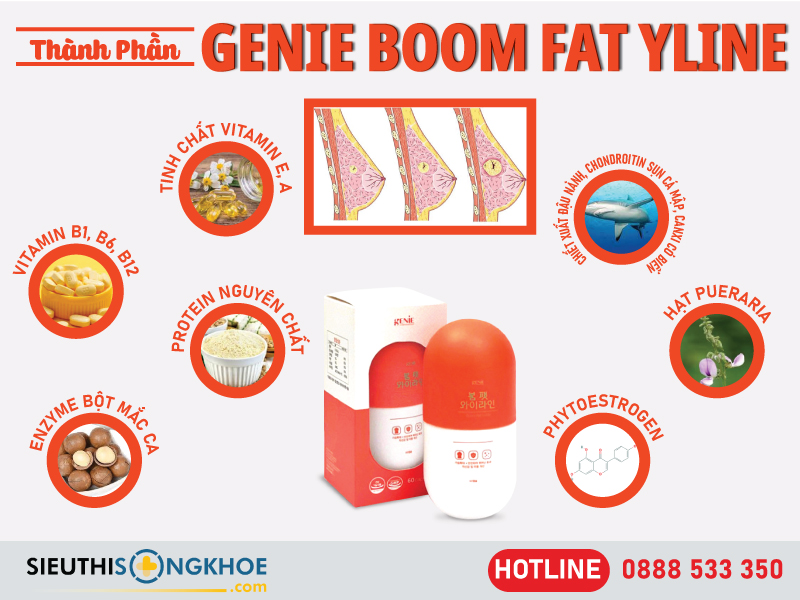 thành phần của genie boom fat yline