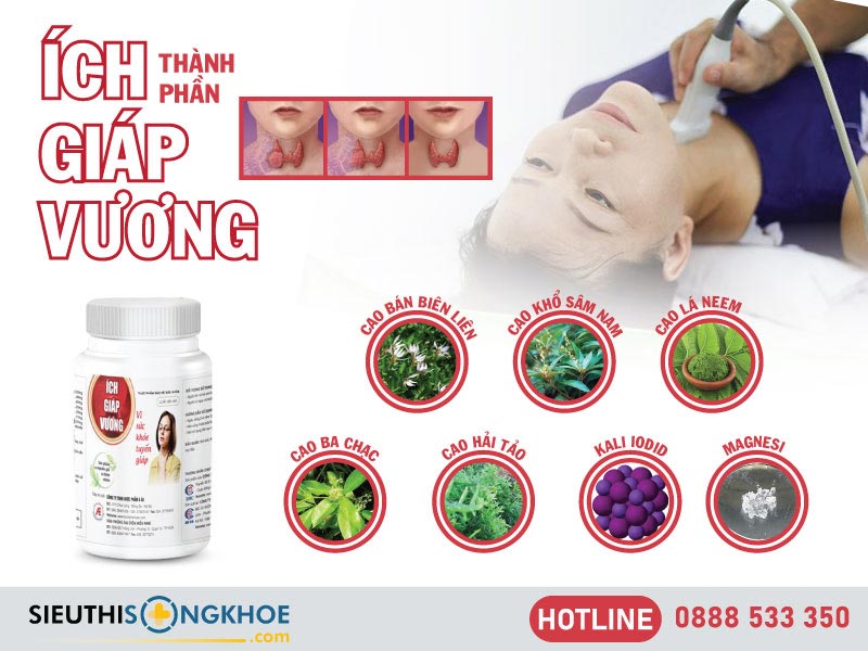 thành phần của ích giáp vương