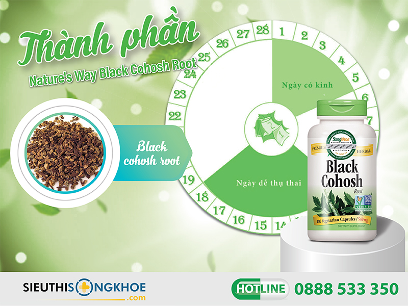 thành phần của nature's way black cohosh root