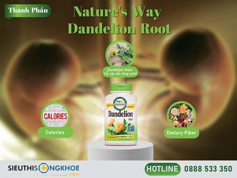 thành phần của nature's way dandelion root