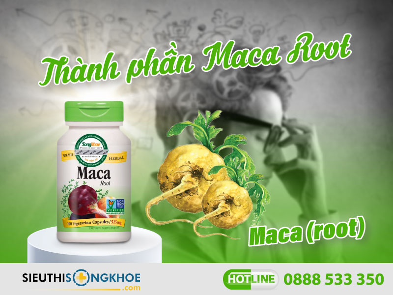 thành phần của nature's way maca root