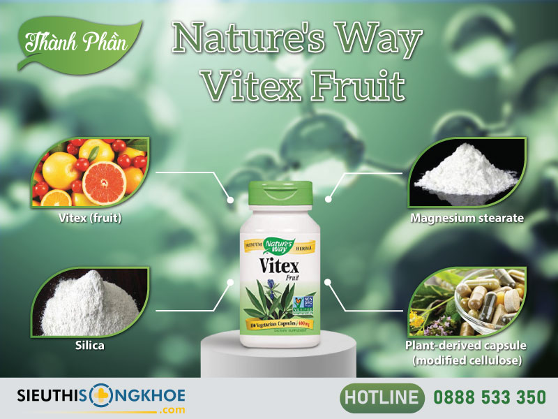 thành phần của nature's way vitex fruit