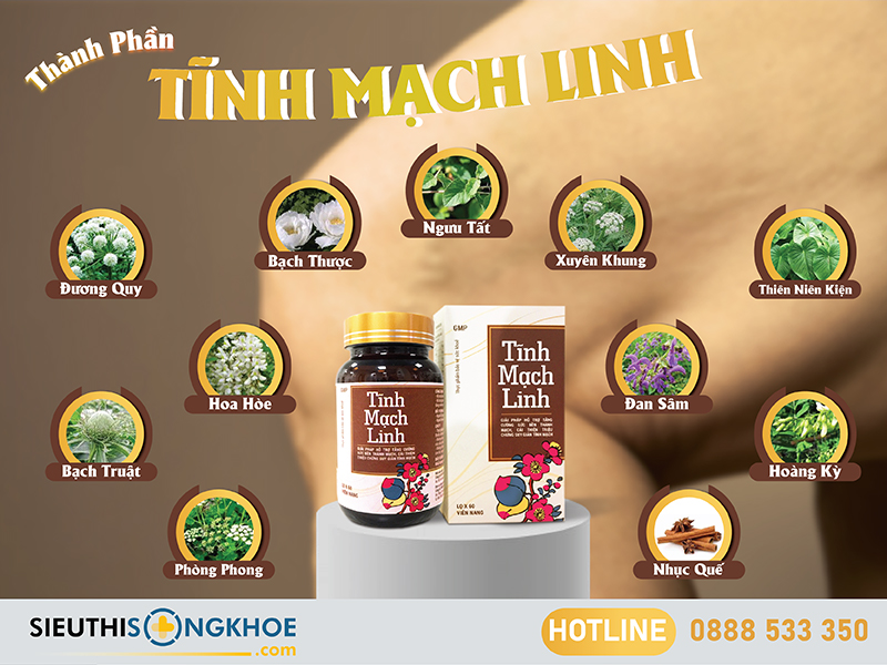 thành phần của tĩnh mạch linh