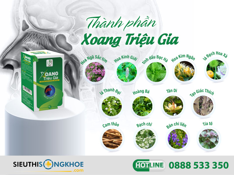 thành phần của xoang triệu gia