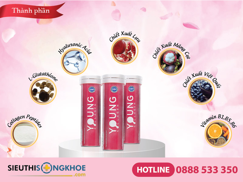 thành phần của young collagen