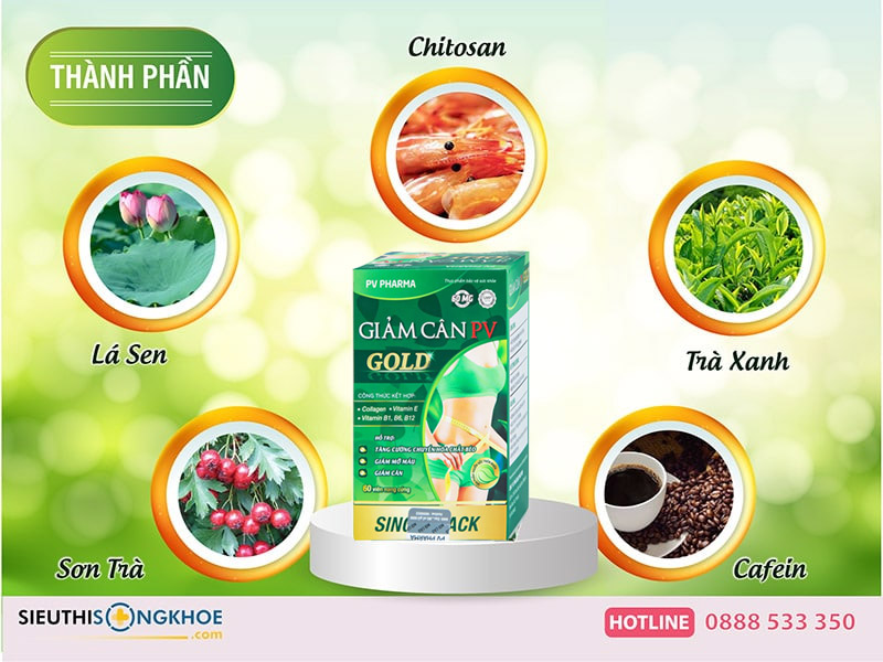 thành phần giảm cân pv gold