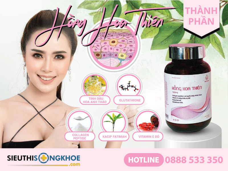 thành phần hồng hoa thiên