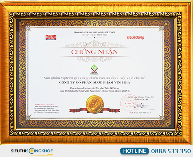 giấy chứng nhận của vipteen vinh gia