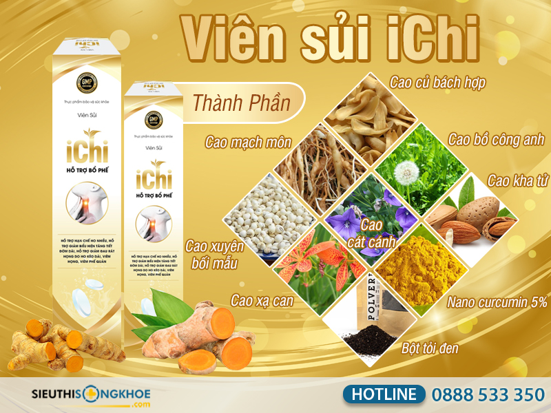 thành phần của viên sủi ichi
