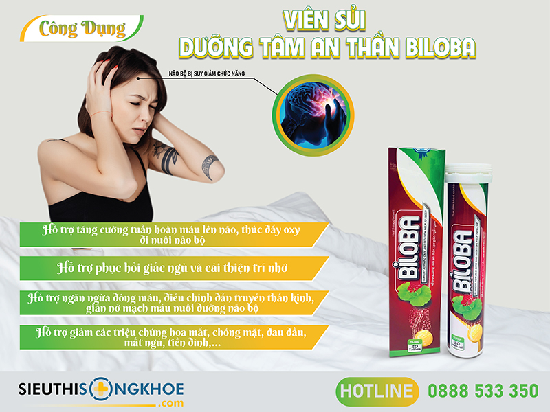 thành phần của viên sủi biloba
