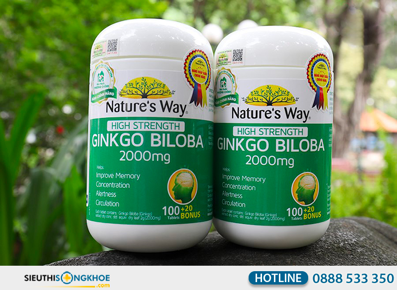nature's way high strength ginkgo biloba 2000mg