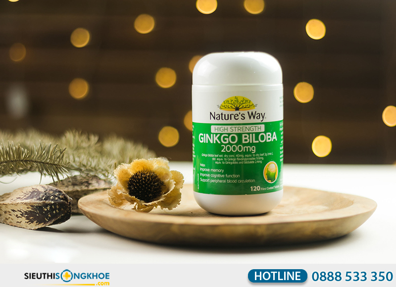 nature's way high strength ginkgo biloba 2000mg