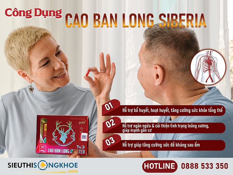 công dụng của cao ban long siberia