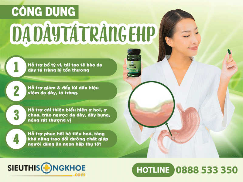 công dụng của dạ dày tá tràng ehp