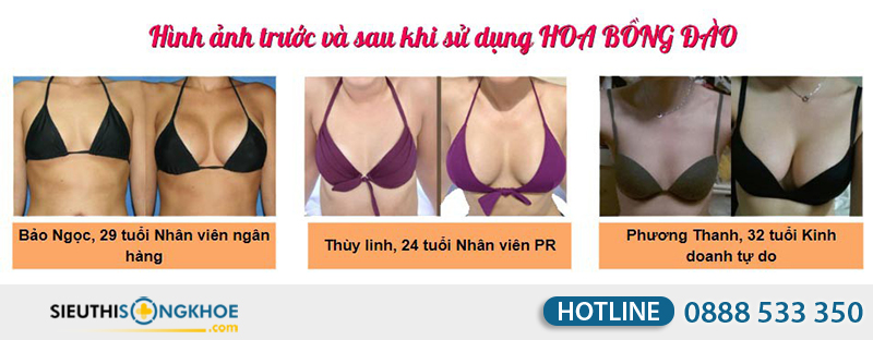 phản hồi khách hàng về sản phẩm hoa bồng đào