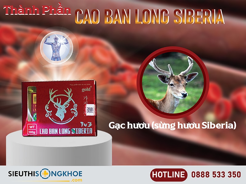 thành phần của cao ban long siberia
