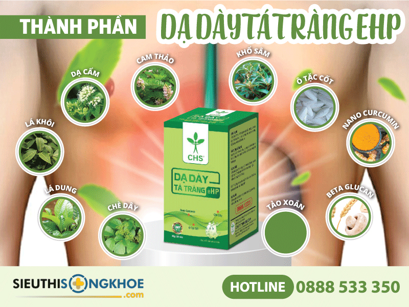 thành phần của dạ dày tá tràng ehp