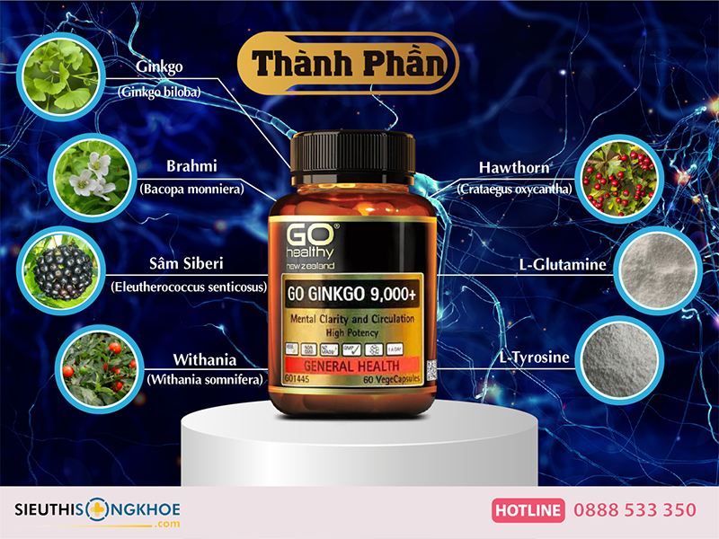 thành phần của go ginkgo 9000+