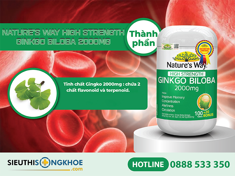 thành phần nature's way high strength ginkgo biloba 2000mg