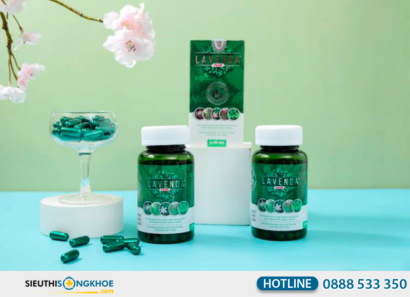 lavenda plus