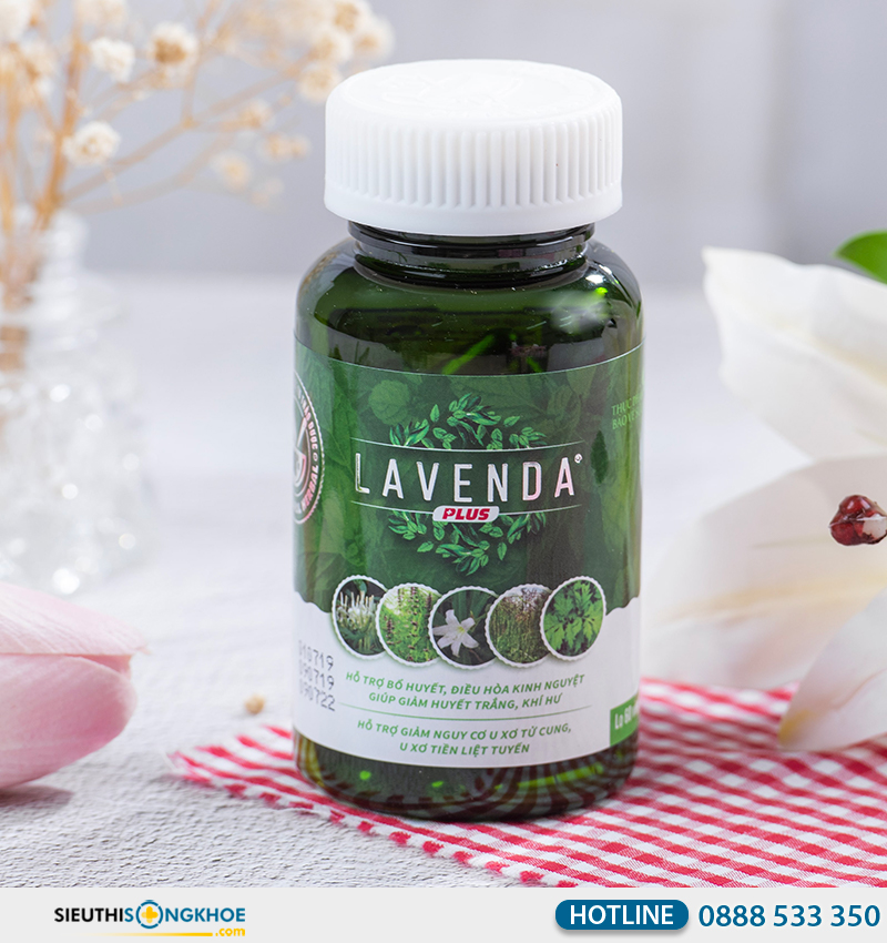 lavenda plus