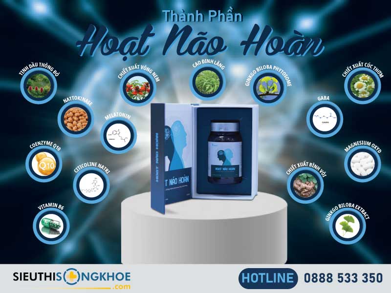 thành phần của hoạt não hoàn