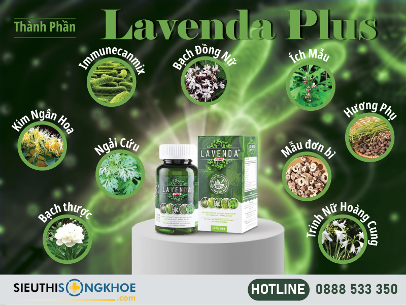 thành phần của lavenda plus