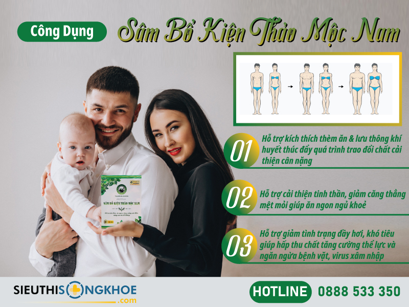 công dụng của sâm bổ kiện thảo mộc nam