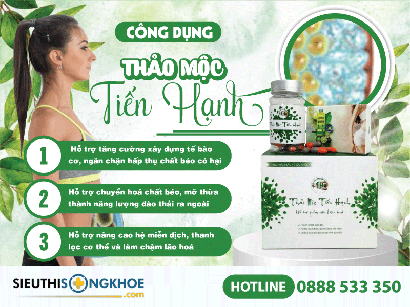 công dụng của thảo mộc tiến hạnh