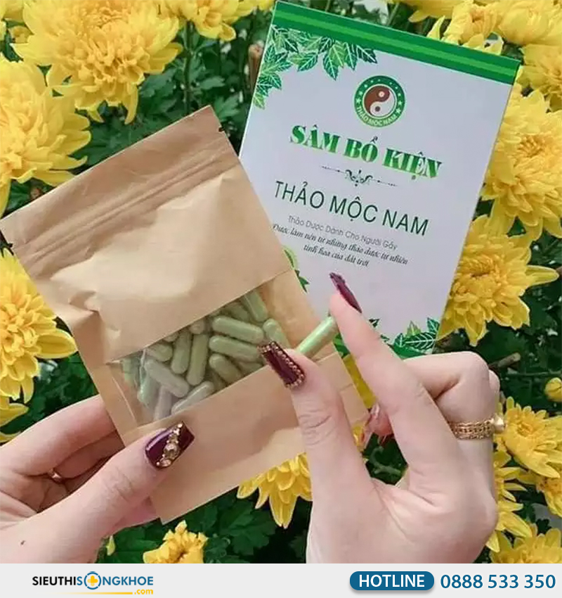sâm bổ kiện thảo mộc nam