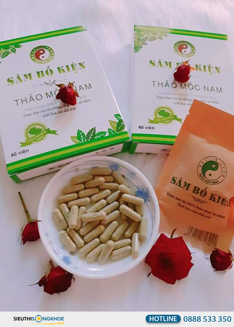 sâm bổ kiện thảo mộc nam