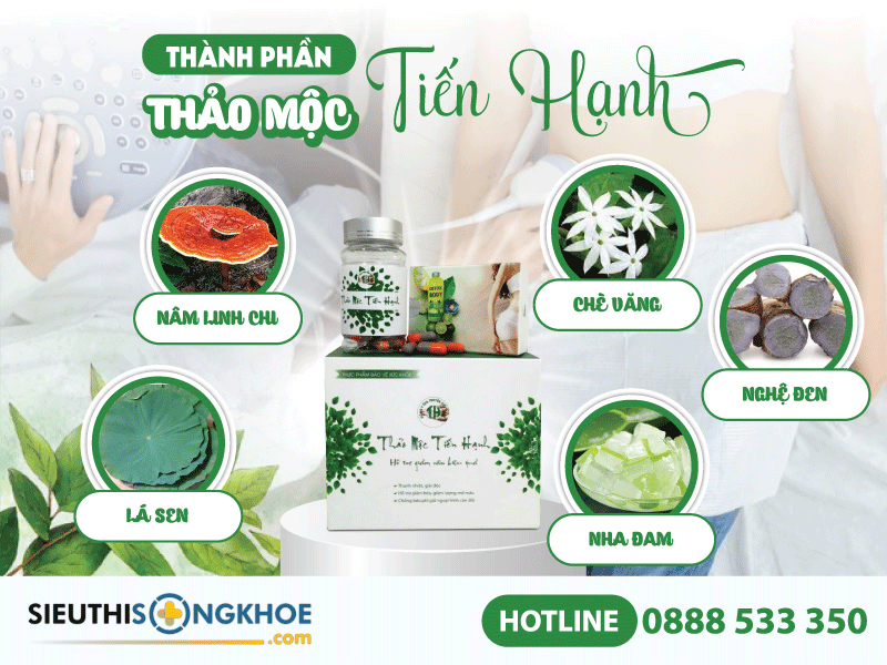 thành phần của thảo mộc tiến hạnh