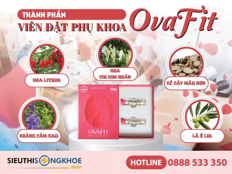 thành phần của viên đặt phụ khoa ovafit