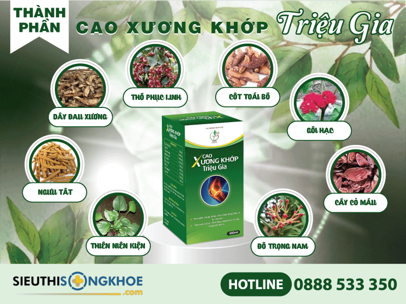 thành phần của cao xương khớp triệu gia
