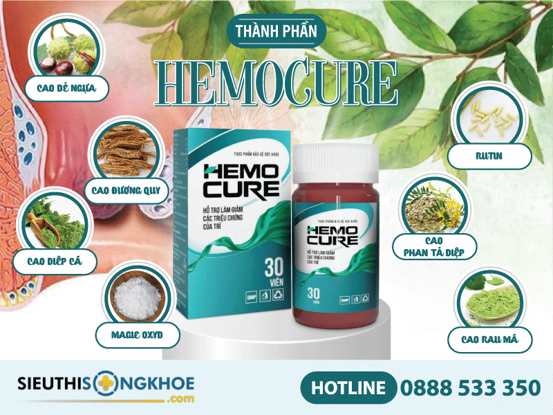 thành phần của hemocure