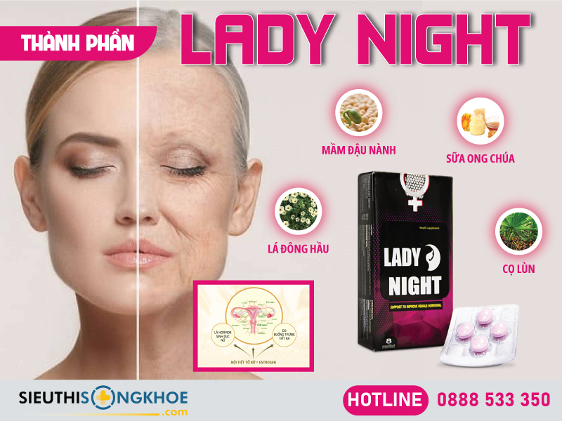 thành phần lady night