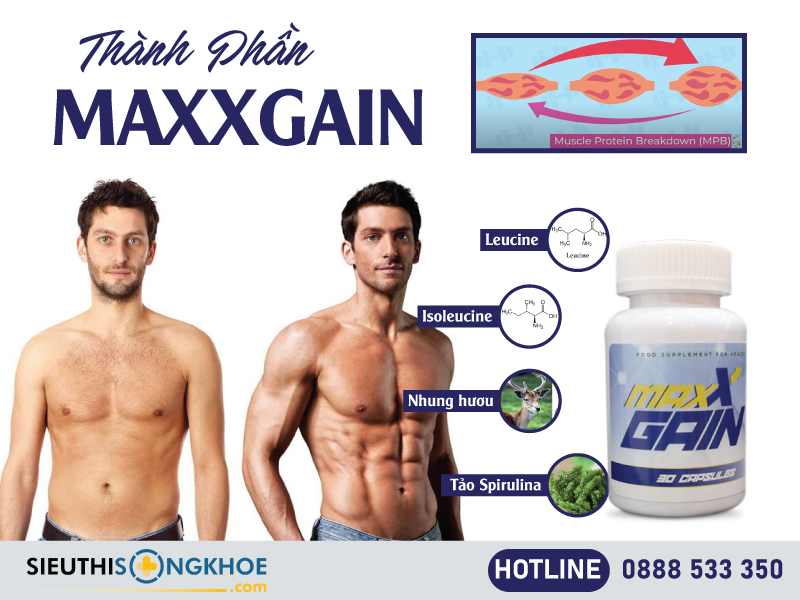 thành phần maxxgain