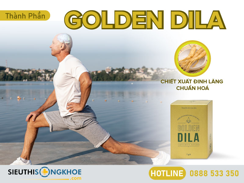 thành phần golden dila