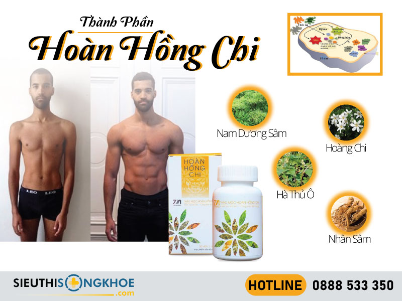 thành phần của hoàn hồng chi