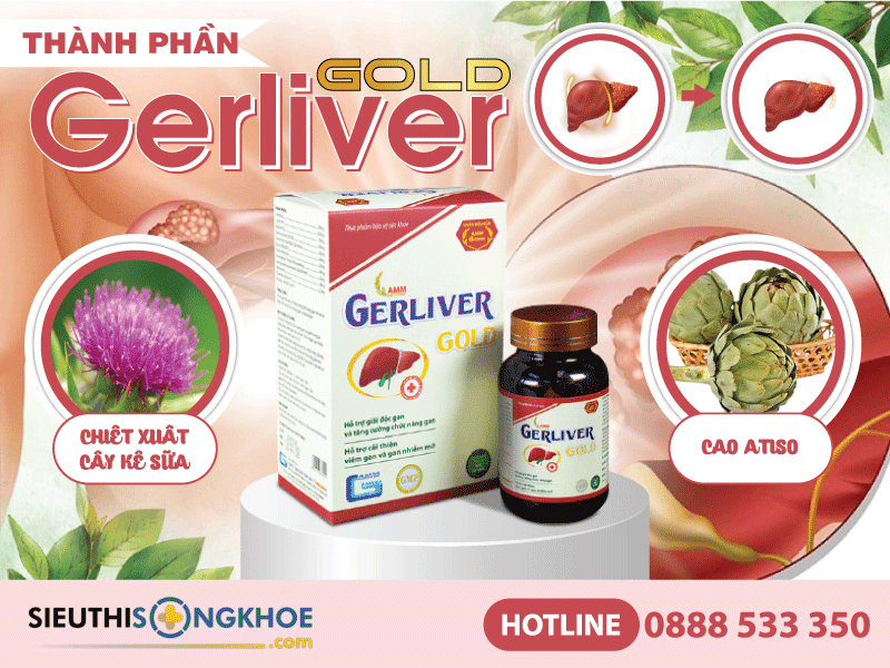 thành phần gerliver gold