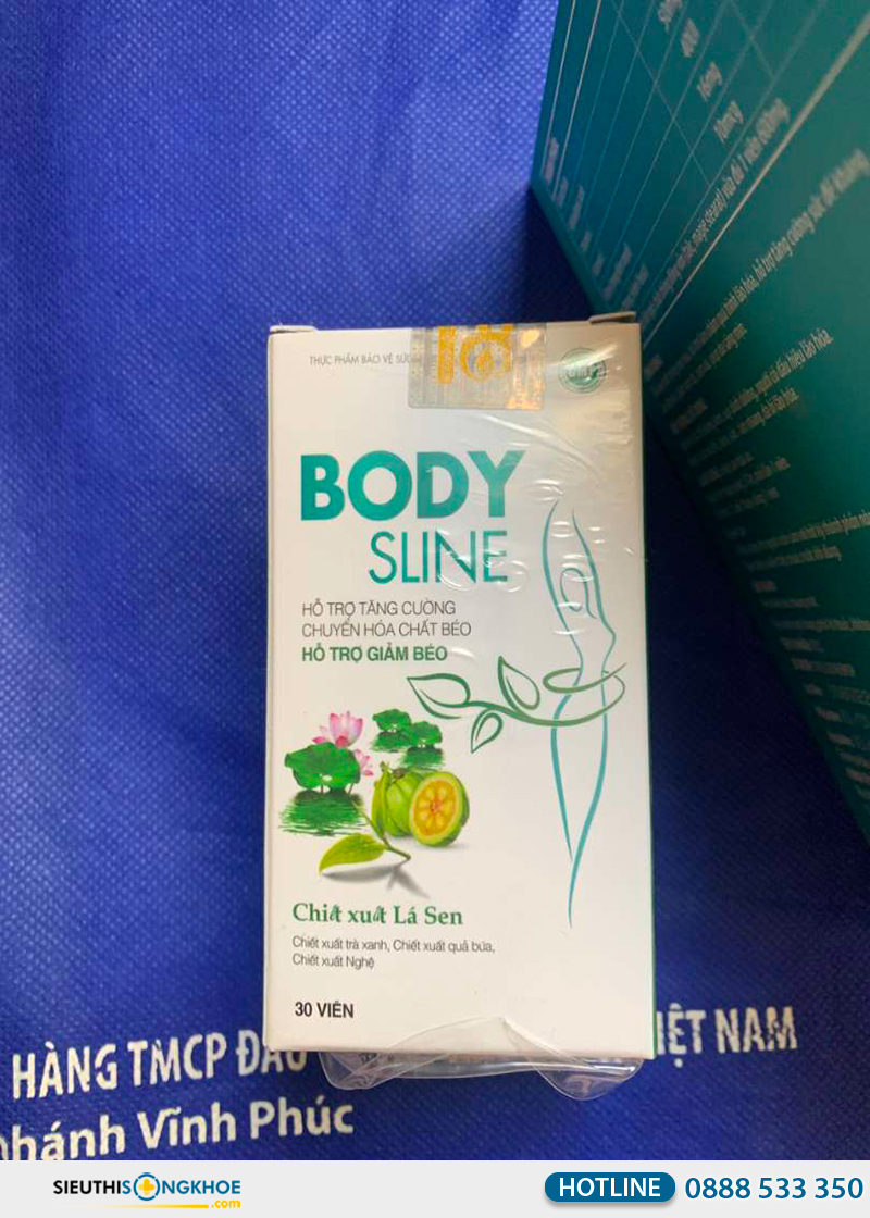 body sline có tốt không