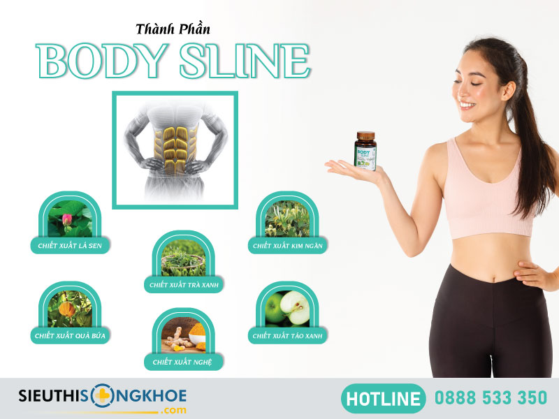 thành phần body sline
