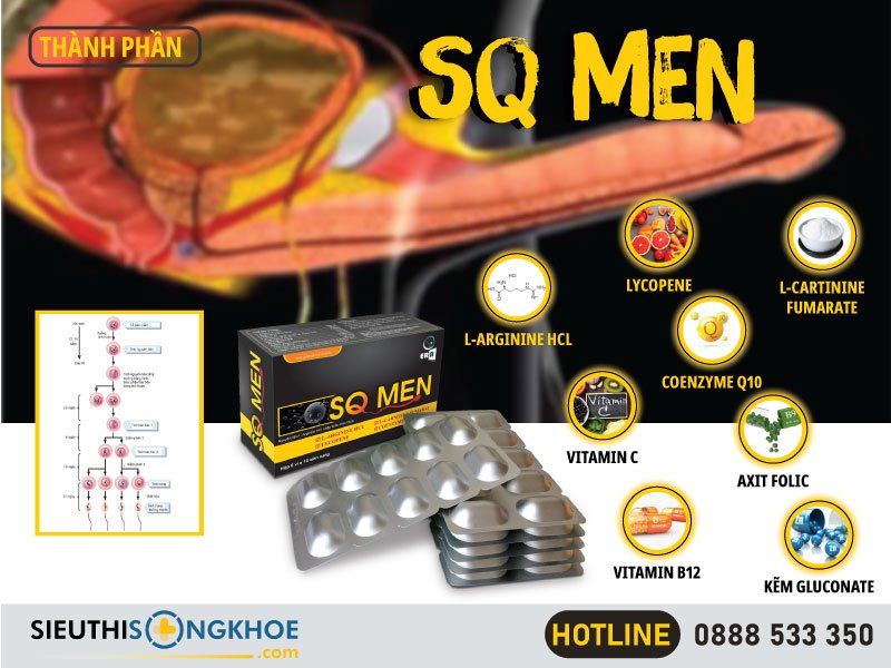 thành phần của sq men
